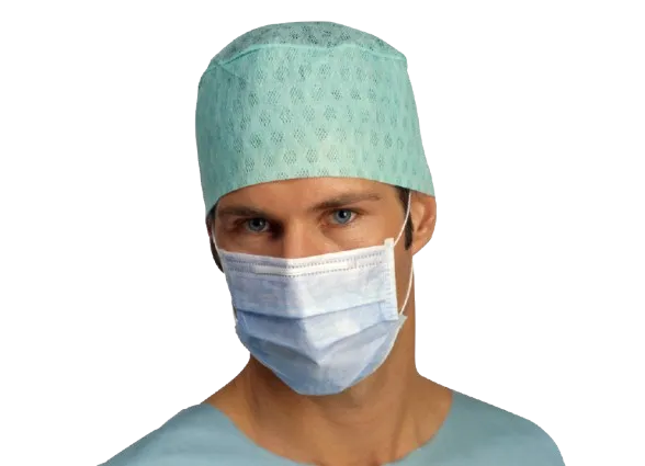 [42270] Face Mask, Ear loop, Type II, Blue, Non-sterile